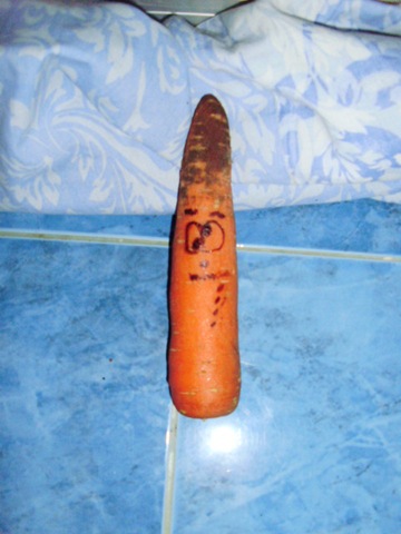 [pills, redneck van and rotten veggies 121[5].jpg]