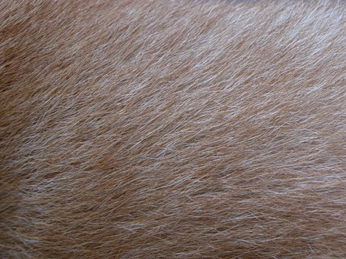 [0_4e349_868526b3_L[3].jpg]