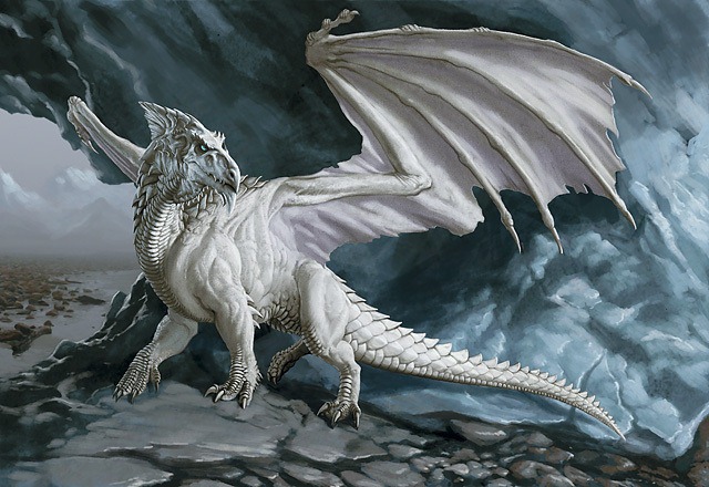 [White-Dragon-dragons-5297591-640-440[5].jpg]