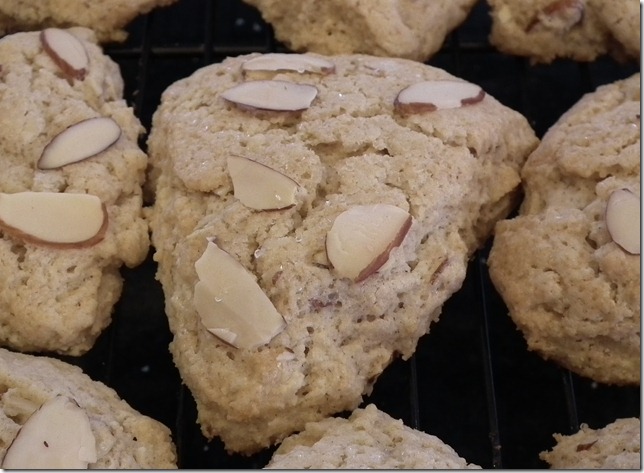 TWD--Toasted Almond Scones 2-20-11