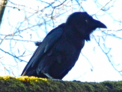 DSCN0046.jpg DSCN0046