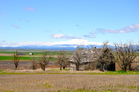 DSC_0434.jpg DSC 0434
