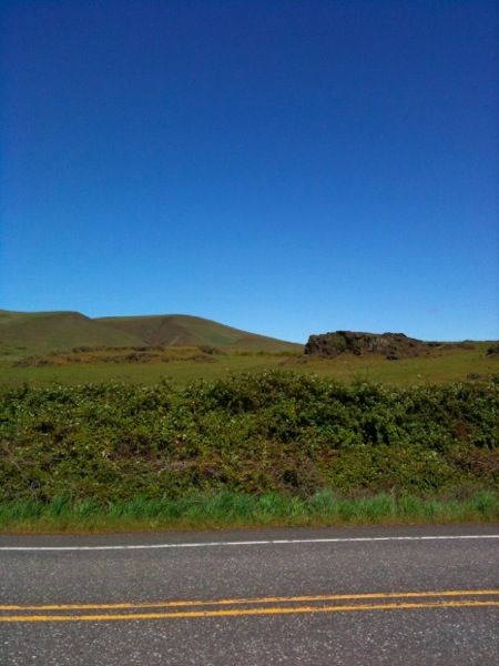 IMG_1822.jpg IMG 1822