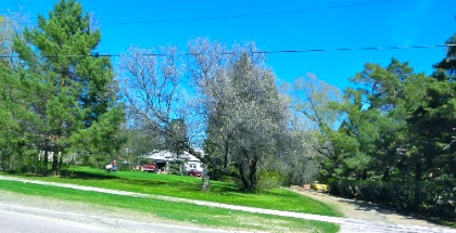 DSCN9068.jpg DSCN9068
