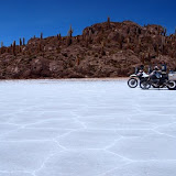 Isla Inca Huasi auf dem Salar de Uyuni