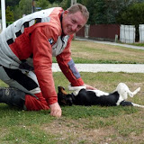 Kuschelhund bei Lawrence