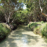 Eli Creek