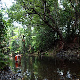 Krokodilfreies Badeloch in Cape Tribulation