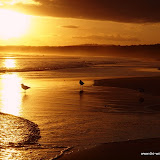 Seven Mile Beach Sonnenuntergang