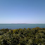 2010-01-27 13.52.59.jpg