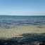 2010-01-27 15.08.33.jpg