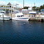 2010-01-29 12.54.12.jpg