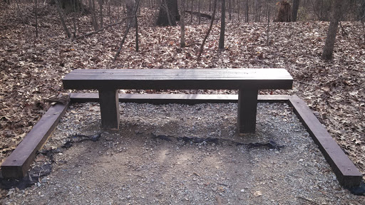 Park Trail Bench