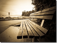 Bench
