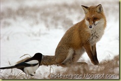 photos-19