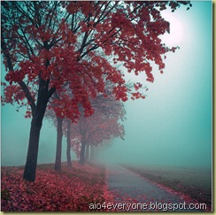 photos-31