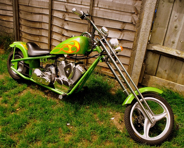 [baby chopper[2].jpg]