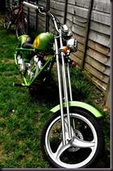 baby chopper2