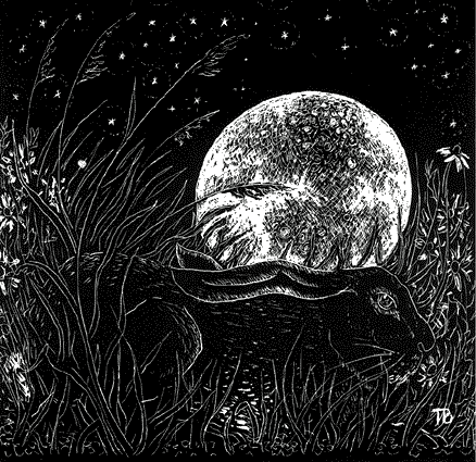 [Tom Boulton - Hare And The Moon[3].gif]