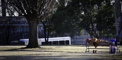 IMG_4310 IMG_4310