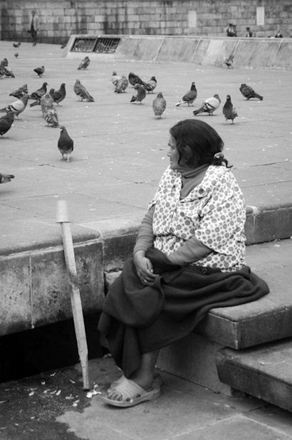 Bird Lady Bogota Bird Lady Bogota
