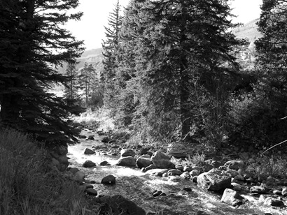 [WoodedStreaminBreckonridge4.jpg]