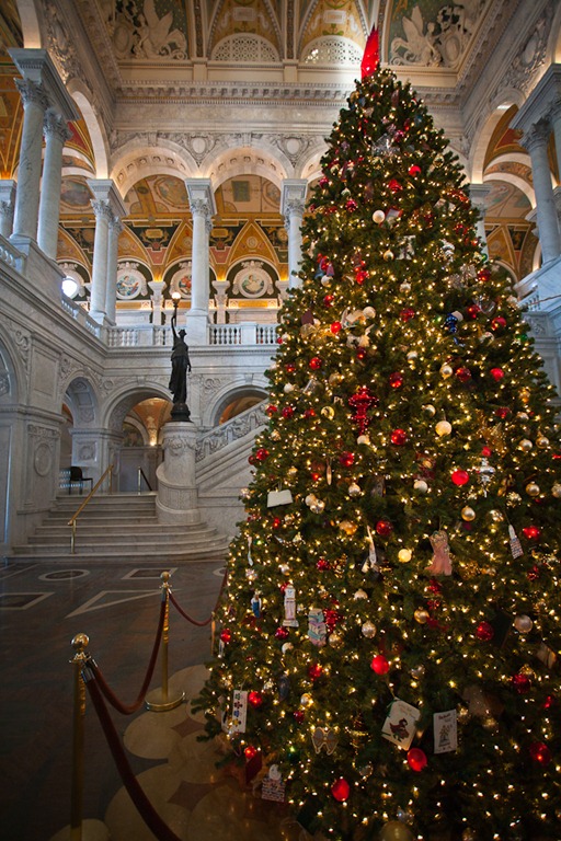 [Library of Congress Christmas Tree-8[4].jpg]