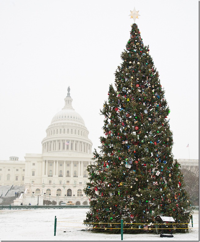 US Capitol at Christmas-2