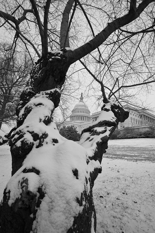 [US Capitol at Christmas-4[4].jpg]
