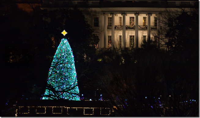 National Christams Tree at Night