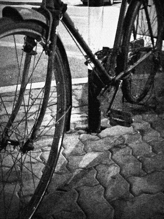[Abu Dhabi Bike-1[4].jpg]