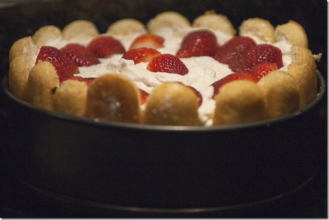 Twinkie Cake-2 Twinkie Cake-2