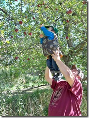 fall 2010 034