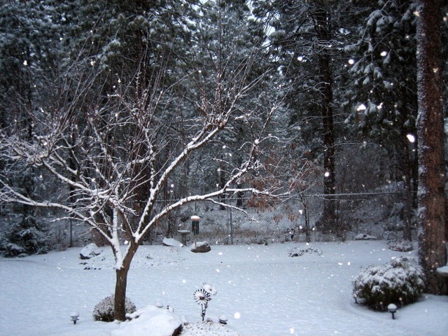 [GEG Snow 12-12-2008 3-39-27 PM[3].jpg]