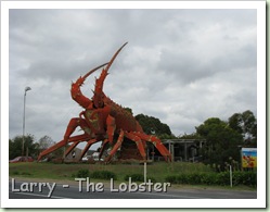 IMG_4990 IMG_4990