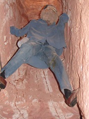 IMG_7313 IMG_7313