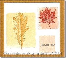 Shadow Stamping Leaves Shadow Stamping Leaves