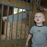Mason's Birthday 9/7/08