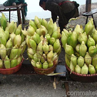 U.S. corn futures rise over 2 pct on talk of China buying, slow planting