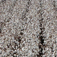 Apparel exporters seek diversification of markets