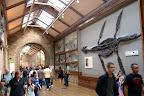 Natural History Museum