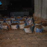 estratigrafia 3.JPG
