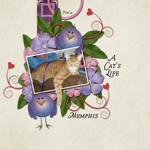 [A Cat's Life (Tammy)[5].jpg]