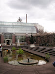 Auckland_105.jpg