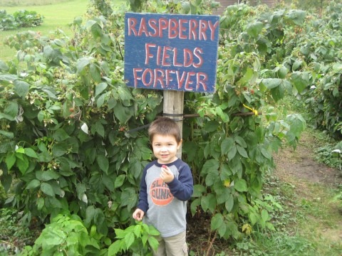 [Raspberry Fields Forever[4].jpg]