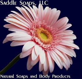 [gerbera_pink_small_header[2].jpg]