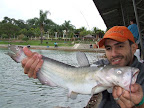 DSCF2110.JPG