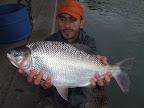 DSCF2118.JPG