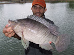 DSCF2123.JPG