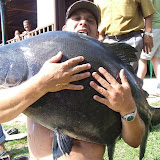 Pesq. Lago Azul - Mogi Guacu - SP